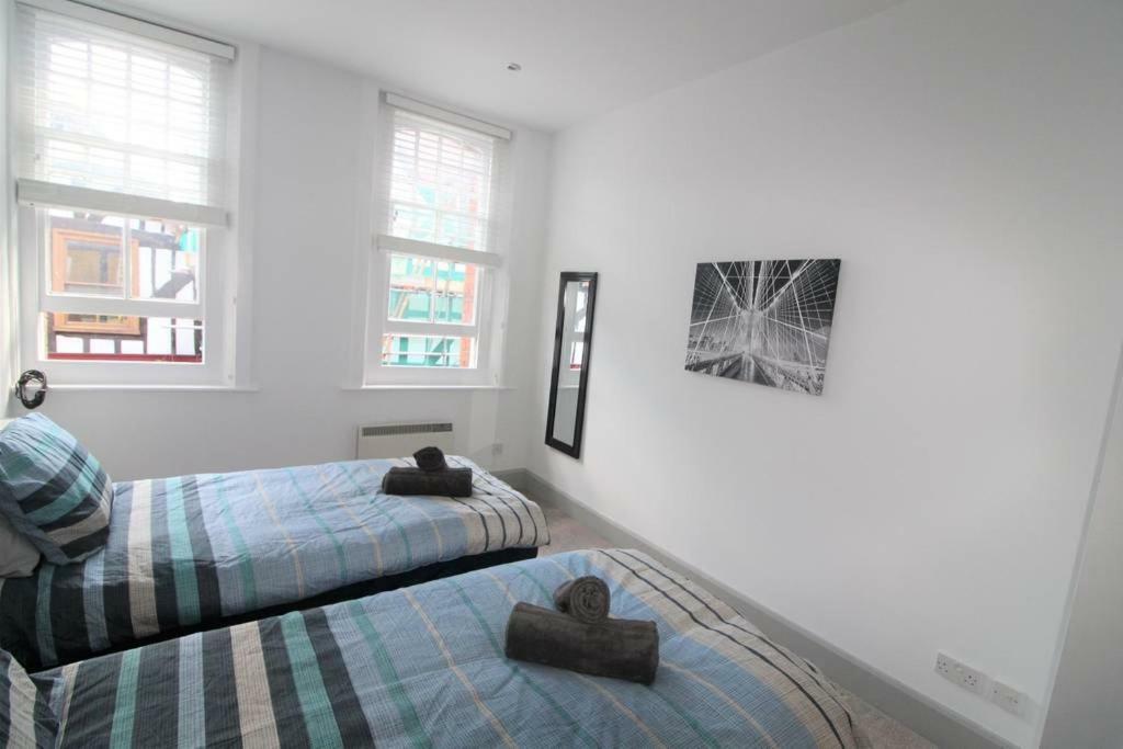 Spacious Central Chic Apartment - Simplycheckin Winchester Dış mekan fotoğraf